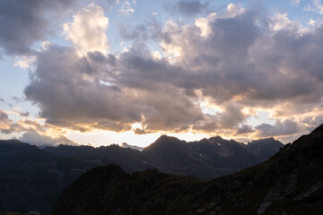 Natural variety found in an Alpine valley. Europe.
They were mainly taken in the Gran Paradiso valley, Italy. They were taken during a 7-day hike. From 1800 to 3100 meters altitude. 
