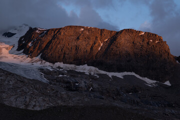 Natural variety found in an Alpine valley. Europe.
They were mainly taken in the Gran Paradiso valley, Italy. They were taken during a 7-day hike. From 1800 to 3100 meters altitude. 