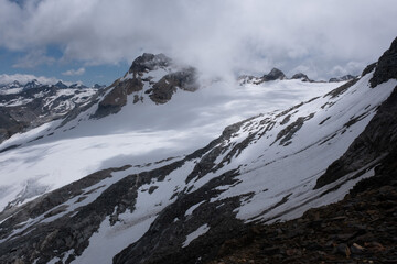 Natural variety found in an Alpine valley. Europe.
They were mainly taken in the Gran Paradiso valley, Italy. They were taken during a 7-day hike. From 1800 to 3100 meters altitude. 
