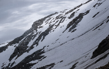 Natural variety found in an Alpine valley. Europe.
They were mainly taken in the Gran Paradiso valley, Italy. They were taken during a 7-day hike. From 1800 to 3100 meters altitude. 