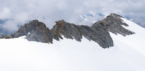 Natural variety found in an Alpine valley. Europe.
They were mainly taken in the Gran Paradiso valley, Italy. They were taken during a 7-day hike. From 1800 to 3100 meters altitude. 