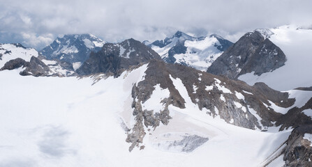 Natural variety found in an Alpine valley. Europe.
They were mainly taken in the Gran Paradiso valley, Italy. They were taken during a 7-day hike. From 1800 to 3100 meters altitude. 