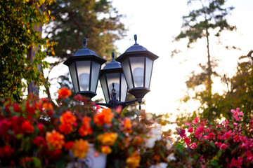Beautiful Vintage lighted garden lamp in a bed of green plants and flowers a summer evening in park