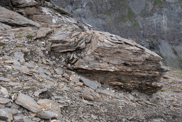 Natural variety found in an Alpine valley. Europe.
They were mainly taken in the Gran Paradiso valley, Italy. They were taken during a 7-day hike. From 1800 to 3100 meters altitude. 