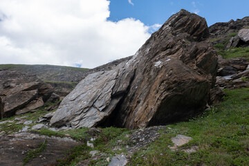 Natural variety found in an Alpine valley. Europe.
They were mainly taken in the Gran Paradiso valley, Italy. They were taken during a 7-day hike. From 1800 to 3100 meters altitude. 