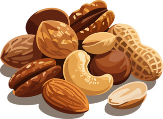 Realistic Mixed Nuts Vector – Detailed Walnut, Pecan, Peanut, Cashew, Almond, Pistachio Illustration, Healthy Snack