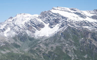 Natural variety found in an Alpine valley. Europe.
They were mainly taken in the Gran Paradiso valley, Italy. They were taken during a 7-day hike. From 1800 to 3100 meters altitude. 