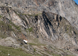 Natural variety found in an Alpine valley. Europe.
They were mainly taken in the Gran Paradiso valley, Italy. They were taken during a 7-day hike. From 1800 to 3100 meters altitude. 