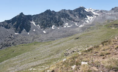 Natural variety found in an Alpine valley. Europe.
They were mainly taken in the Gran Paradiso valley, Italy. They were taken during a 7-day hike. From 1800 to 3100 meters altitude. 