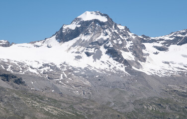 Natural variety found in an Alpine valley. Europe.
They were mainly taken in the Gran Paradiso valley, Italy. They were taken during a 7-day hike. From 1800 to 3100 meters altitude. 
