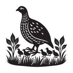 Partridge Feeding Chicks In Field Silhouette