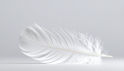 Delicate white feather resting on a smooth surface with soft background.