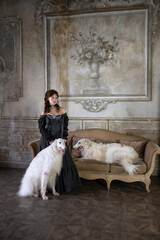 An elegant dark-haired girl with two greyhounds in a vintage interior with a sofa