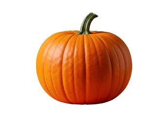 Pumpkin Orange Gourd Squash Autumn Fall Seasonal Harvest Festival