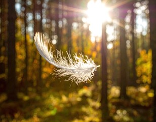 A single white feather floats gently in the sunlit autumn forest.