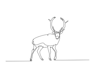 Reindeer in single outline illustration. Continuous line art drawing of wild reindeer. Editable stroke.