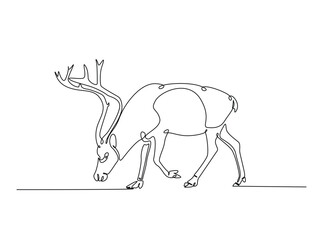 Reindeer in single outline illustration. Continuous line art drawing of wild reindeer. Editable stroke.