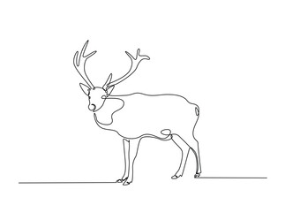 Reindeer in single outline illustration. Continuous line art drawing of wild reindeer. Editable stroke.