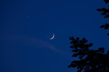 Crescent young Moon with stars, planets and rural countryside tree silhouettes.