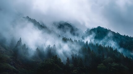 Misty evergreen forest covering a rugged mountain slope under a cloudy sky