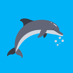 Fototapeta premium A cartoon gray dolphin with a white belly jumping out of blue water, with small bubbles near its mouth.
