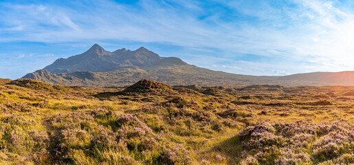 Cuillin Hills – 100-Megapixel-Panorama mit Blick auf Pinnacle Ridge auf der Isle of Skye, aufgenommen im August 2025 bei sonnigem Sommerwetter mit Vulkanlandschaft und Wildblumen im Vordergrund  