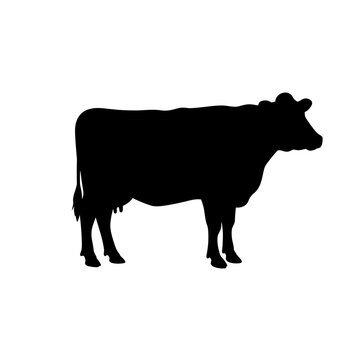 Black silhouette of a standing cow on a white background, depicted in a side profile view.