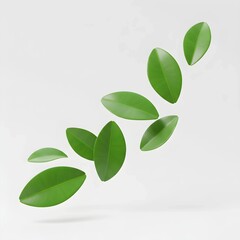 Five Green Leaves Floating on White  Botanical Minimalism