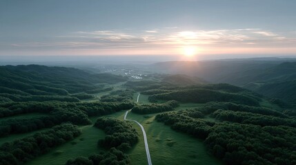 Aerial View of Green Forest with Solar Panels at Sunset Landscape