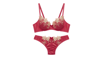 Elegant pink lace bra and panty set with intricate floral embroidery on black background