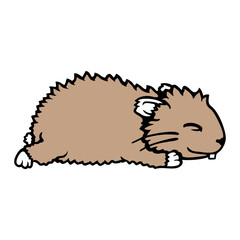 Napping Hamster Rodent Pet Tired Animal Sleeping Sleepy
