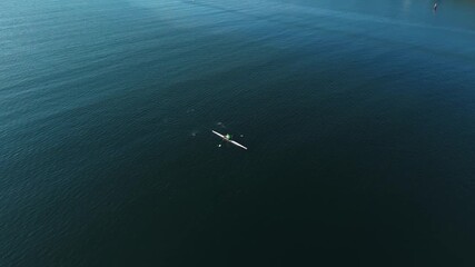 Drone Captures Professional Male Athletes Rowing Early Morning In Calm Halifax Bay Waters. Teamwork, Discipline, And Endurance Reflected In Scenic Canadian Coastal Landscape. - Powered by Adobe