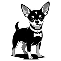 Cute Black and White Chihuahua Illustration.