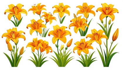 Collection of bright yellow lilies