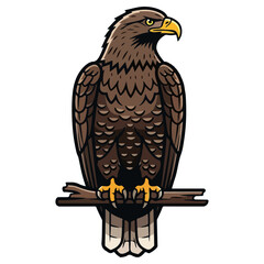 Majestic eagle perched on a branch, observing its surroundings.