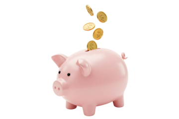 Gold coins falling into a pink piggy bank representing savings and investment isolated on transparent cutout background, cut out, png