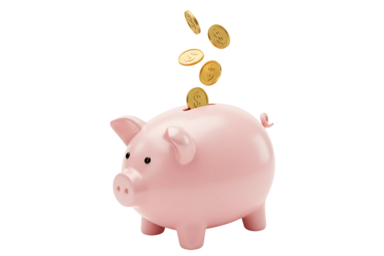 Gold coins falling into a pink piggy bank representing savings and investment isolated on transparent cutout background, cut out, png
