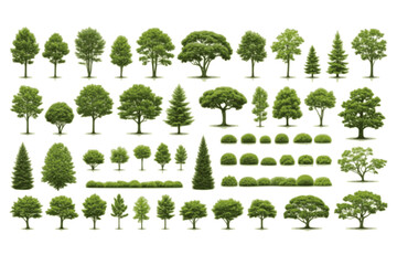Fototapeta premium Tree Collection Illustration: Deciduous and Conifer Trees. Nature Landscape Elements, Green Foliage Plants. Forest and Garden Outdoor Design Set.