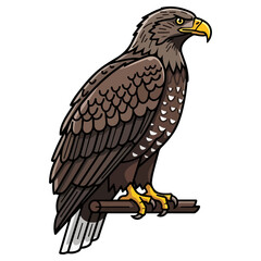 Majestic Eagle Perched on Branch - A Detailed Illustration.