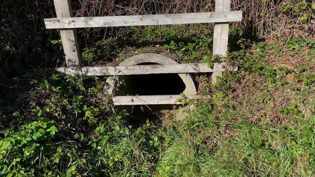 The entrance to a wildlife tunnel culvert under a busy country road. Safety for wild animals crossing the road.