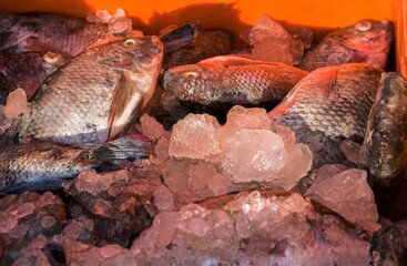 Close-up view of fresh whole fish arranged on crushed ice in an orange container at a vibrant market stall in India.