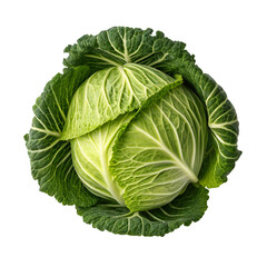 Fototapeta premium Fresh green cabbage with detailed leafy texture on black background vegetable food