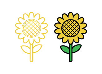 Sunflower plant outline and color illustration set. Simple vector drawing of a vibrant summer flower head for nature, garden, and botanical design.