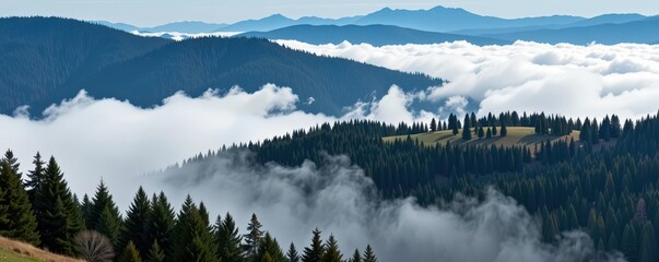 Misty mountain slope, dense pine forest shrouded in fog, dramatic landscape of rolling hills and evergreen trees, scenery, majestic, dramatic
