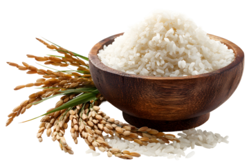 Rice bowl with raw and cooked grains, natural wooden container food concept. Isolated on transparent background.

