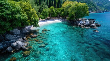 Aerial View of Turquoise Waters and Lush Greenery on Tropical Coastline Featuring a Rocky Shoreline Sparkling Water and Verdant Trees Under Bright Sunlight