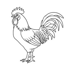 rooster, drawing, lineart, coloring, bird, farm, animal, poultry, cock, feathers, beak, comb, tail, outline, sketch, printable, kids, barn, rural, nature, livestock, cluck, wings, scratch, perch, crow