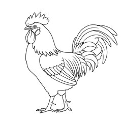 rooster, drawing, lineart, coloring, bird, farm, animal, poultry, cock, feathers, beak, comb, tail, outline, sketch, printable, kids, barn, rural, nature, livestock, cluck, wings, scratch, perch, crow