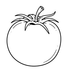 tomato, coloring, vegetable, fruit, kids, food, outline, drawing, sketch, lineart, printable, healthy, red, nature, garden, plant, organic, kitchen, nutrition, fresh, slice, salad, cooking, edible, ra