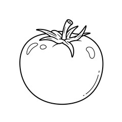 tomato, coloring, vegetable, fruit, kids, food, outline, drawing, sketch, lineart, printable, healthy, red, nature, garden, plant, organic, kitchen, nutrition, fresh, slice, salad, cooking, edible, ra